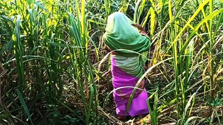 Husband's friend went to meet the new daughter-in-law in the sugarcane field.Daughter-in-law was to poke by a friend..