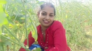 Cheating the sister-in-law working on the farm by luring cash In hindi voice
